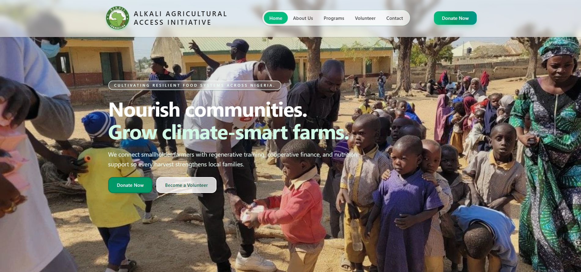 Alkali Foundation Website